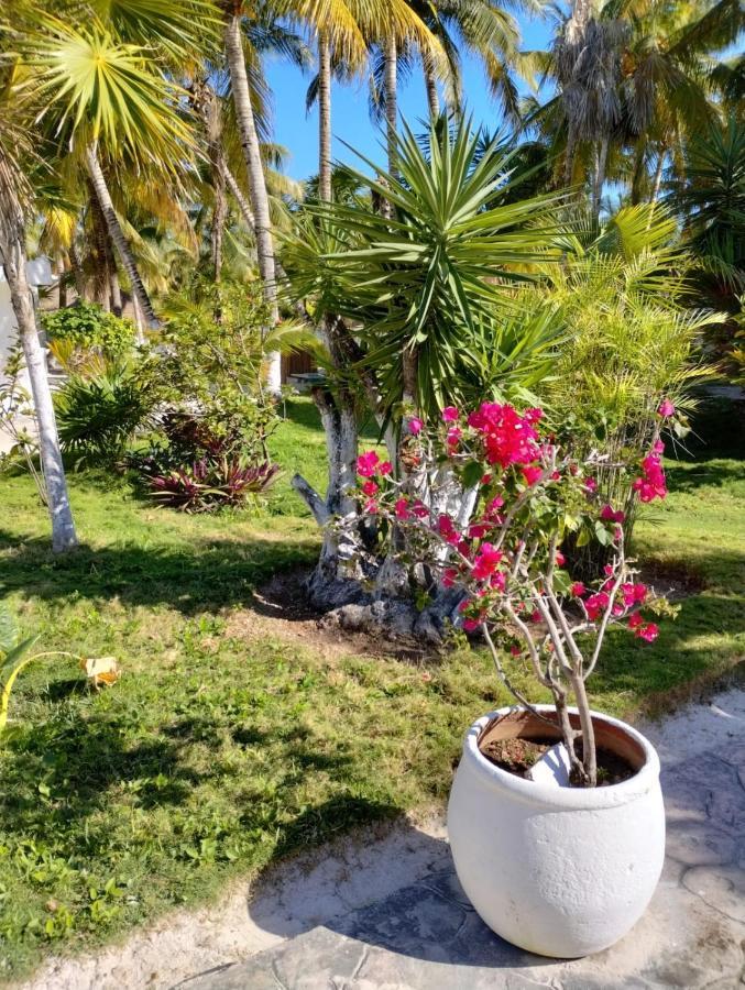 Alito Tulum Hotel エクステリア 写真