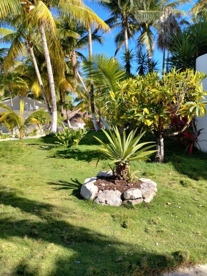 Alito Tulum Hotel エクステリア 写真