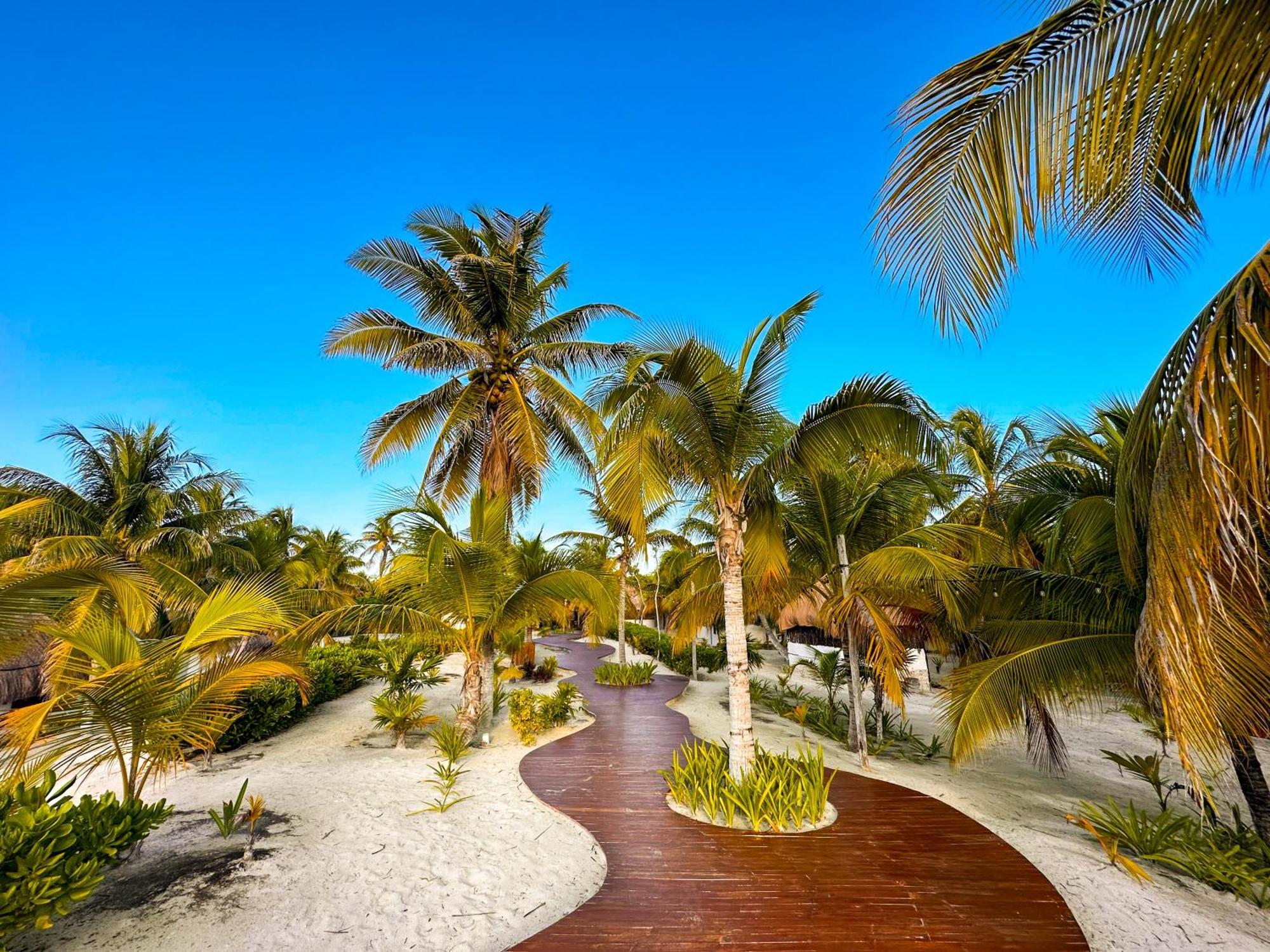 Alito Tulum Hotel エクステリア 写真