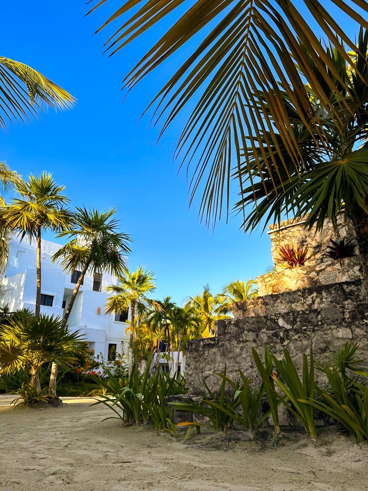 Alito Tulum Hotel エクステリア 写真